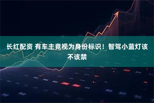 长红配资 有车主竟视为身份标识！智驾小蓝灯该不该禁
